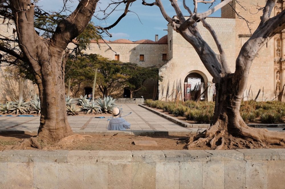 Mexico Museum - a building with a courtyard and trees in front of it
