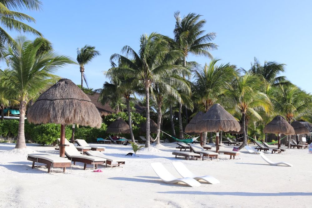 Mexico Bar - brown nipa hut on white sand beach during daytime