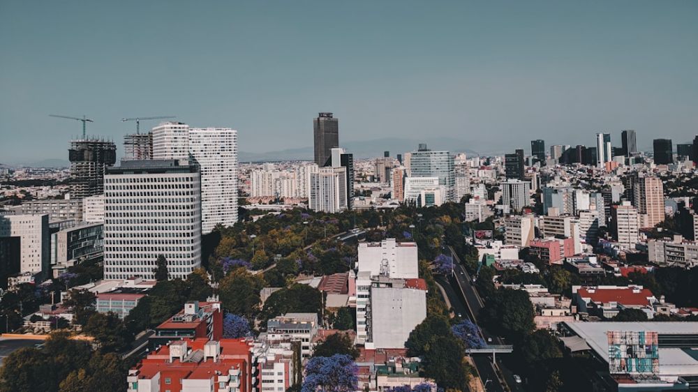 Polanco - high angle photo of cityscape