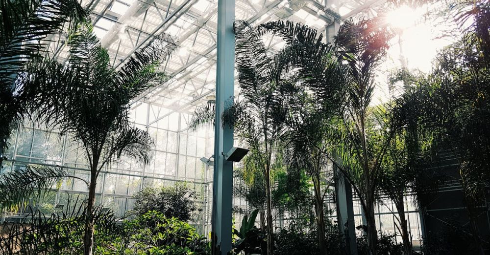 Botanical Garden - Green House